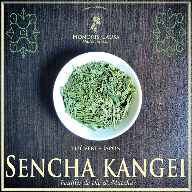 Thé vert Sencha Matcha du Japon bio – sachets individuels